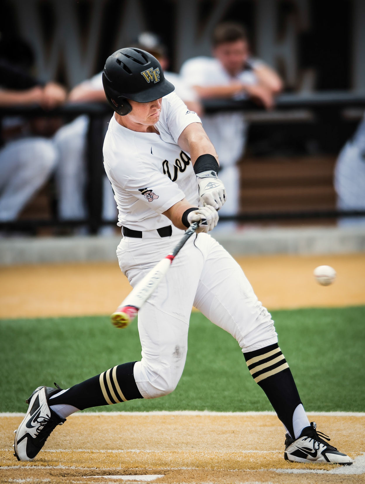 Wake Forest Virginia Baseball